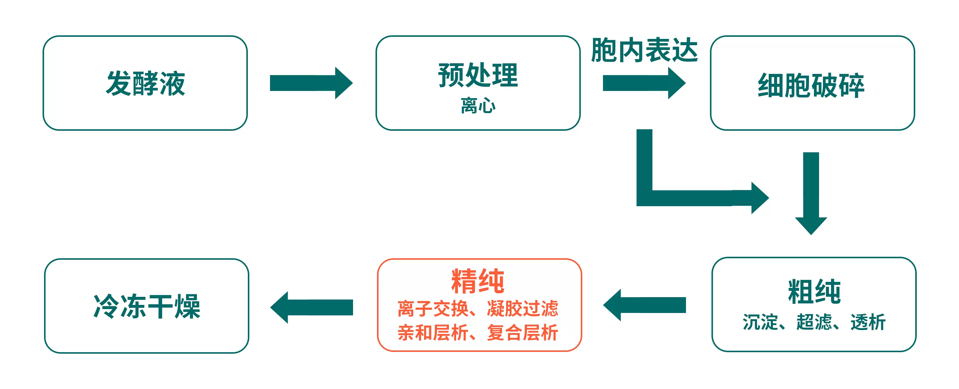 jiaoyuan-1