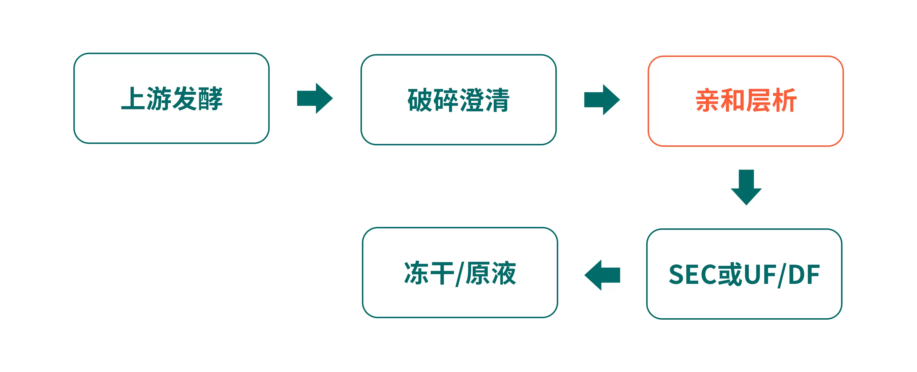jiaoyuan-2