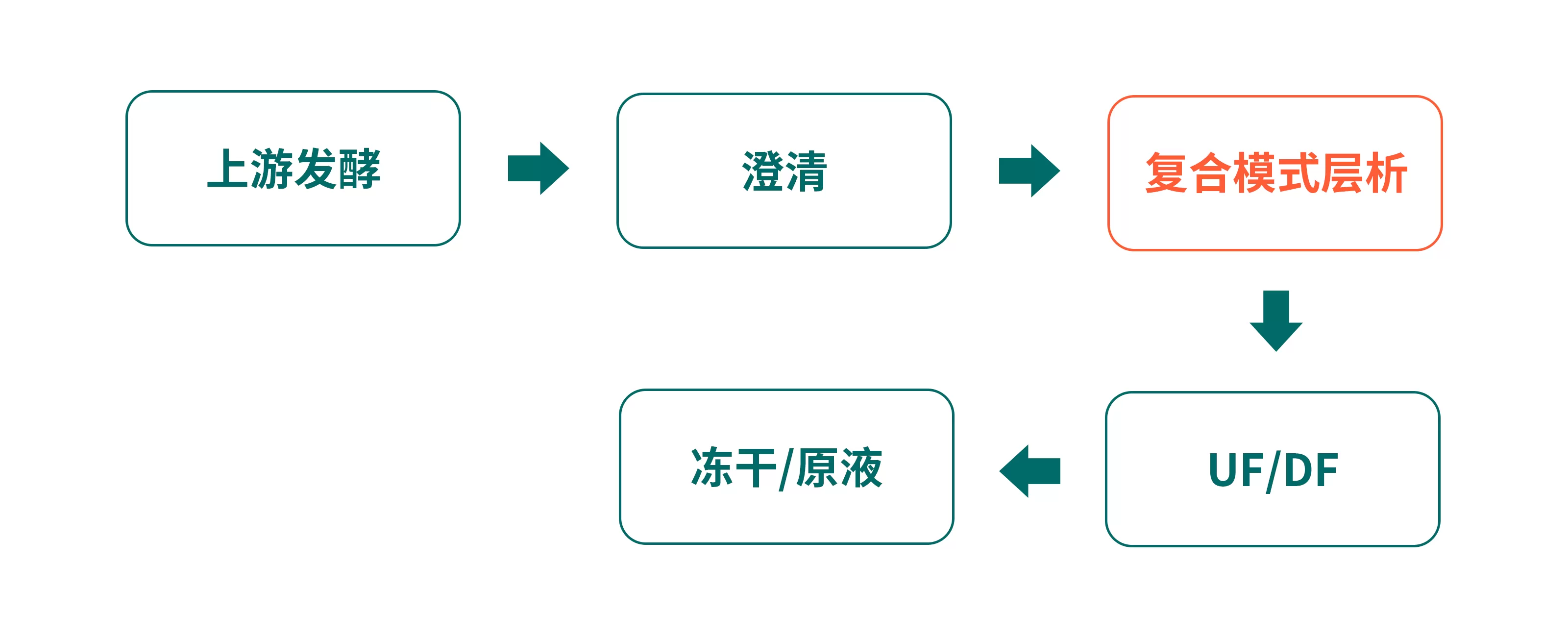 jiaoyuan-6