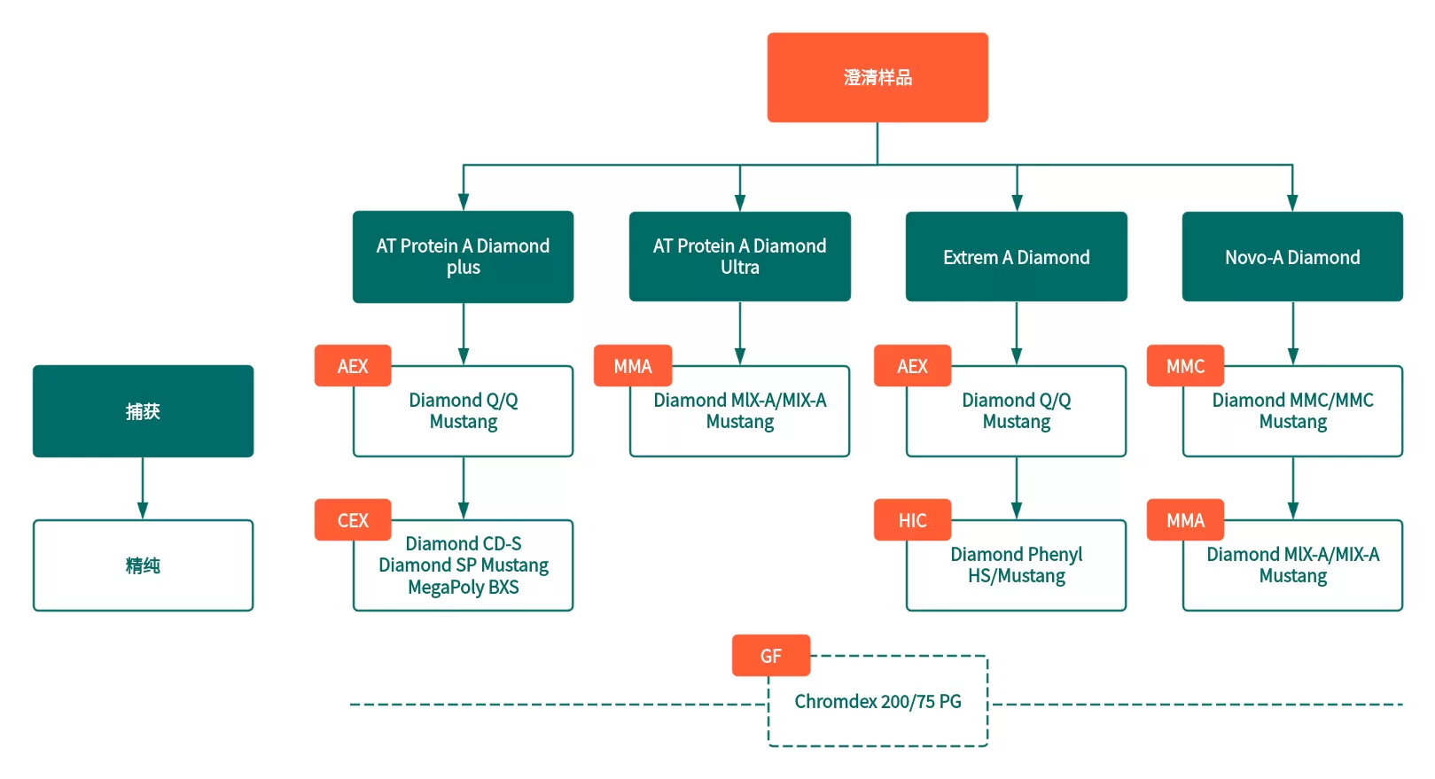 EBC-1