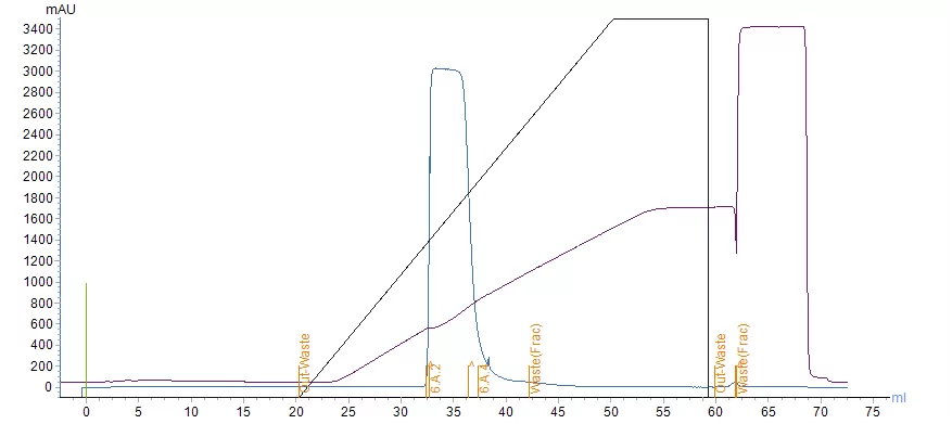 IEX-6
