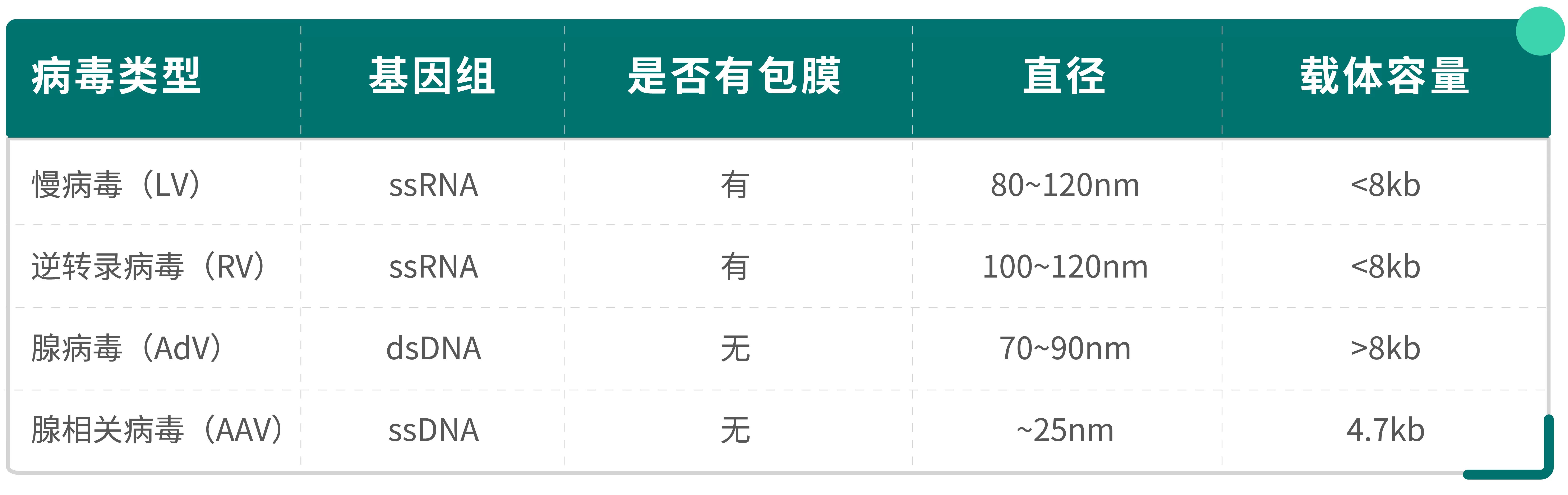 病毒载体