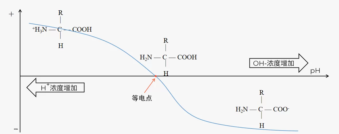 IEX-1
