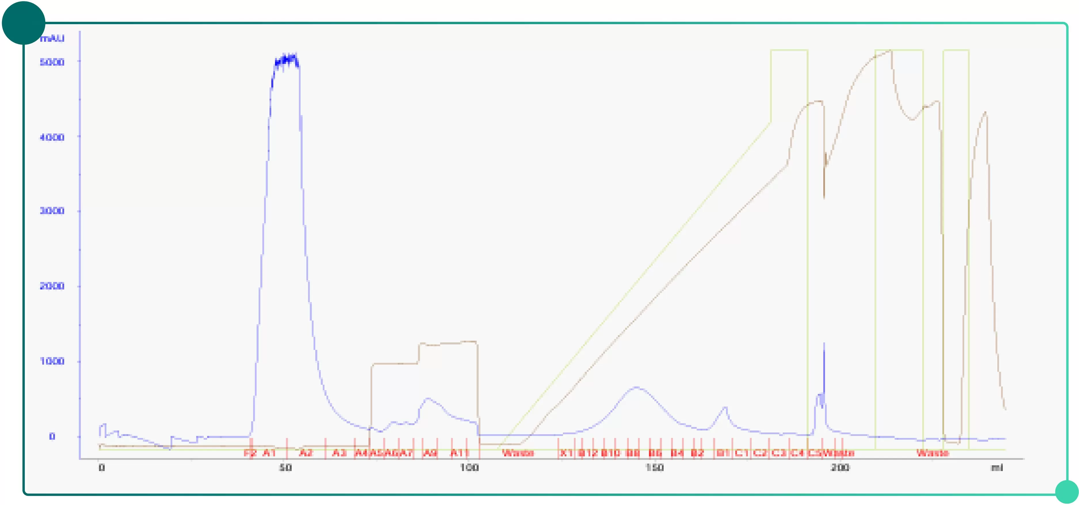 MMC for collagen purification-04