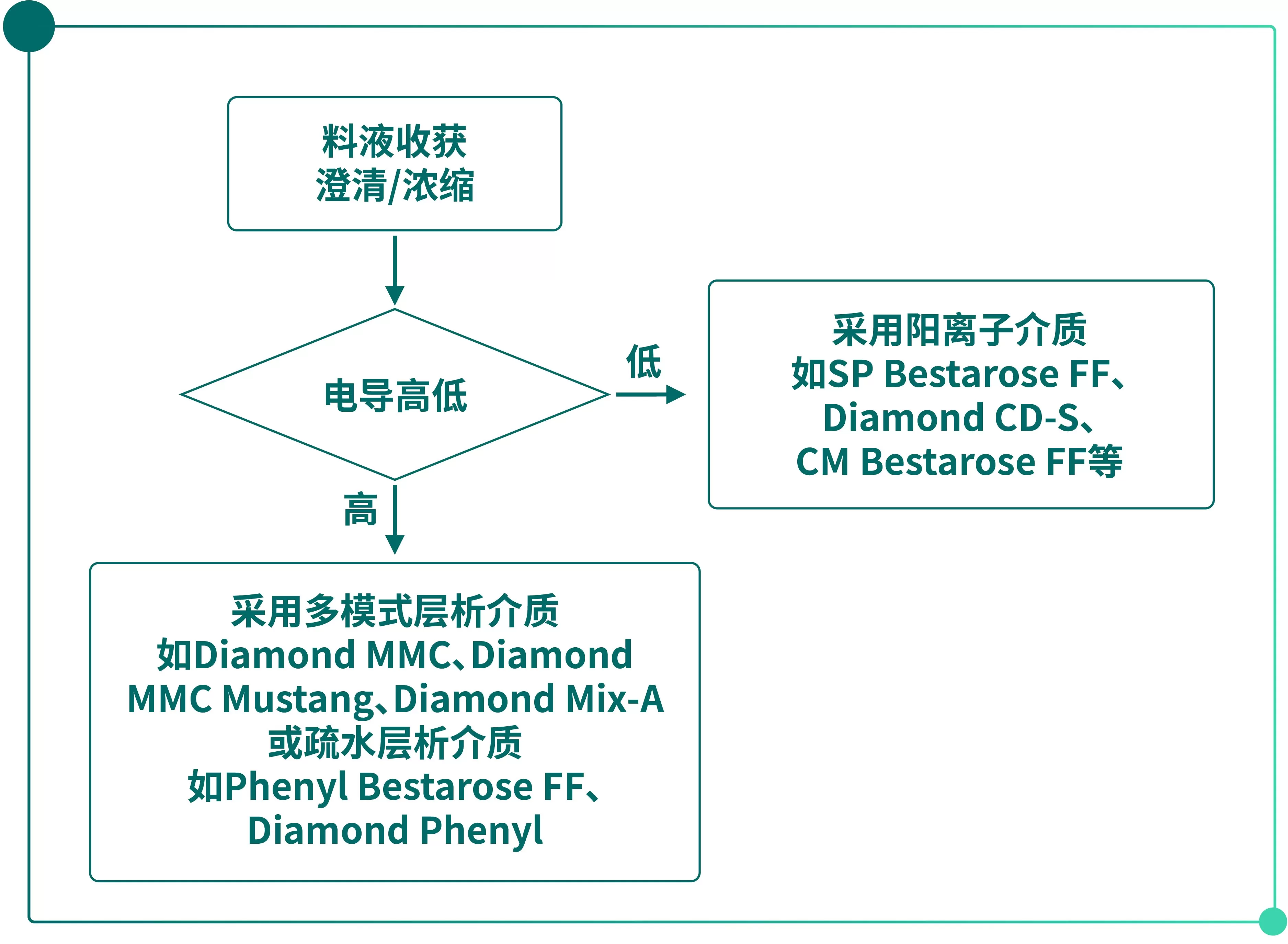 MMC for collagen purification-01