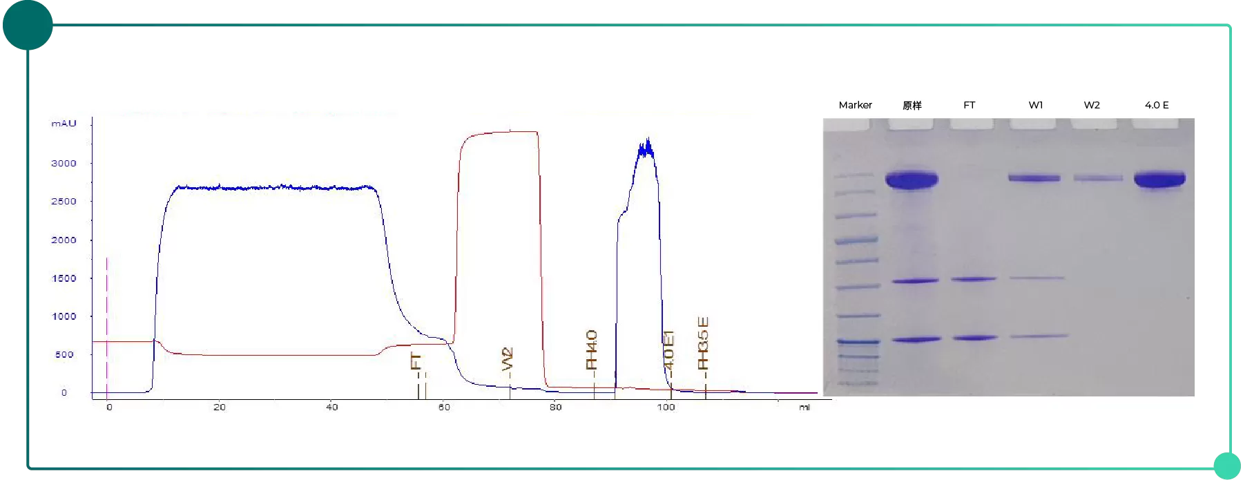 resin-selection-fig-3
