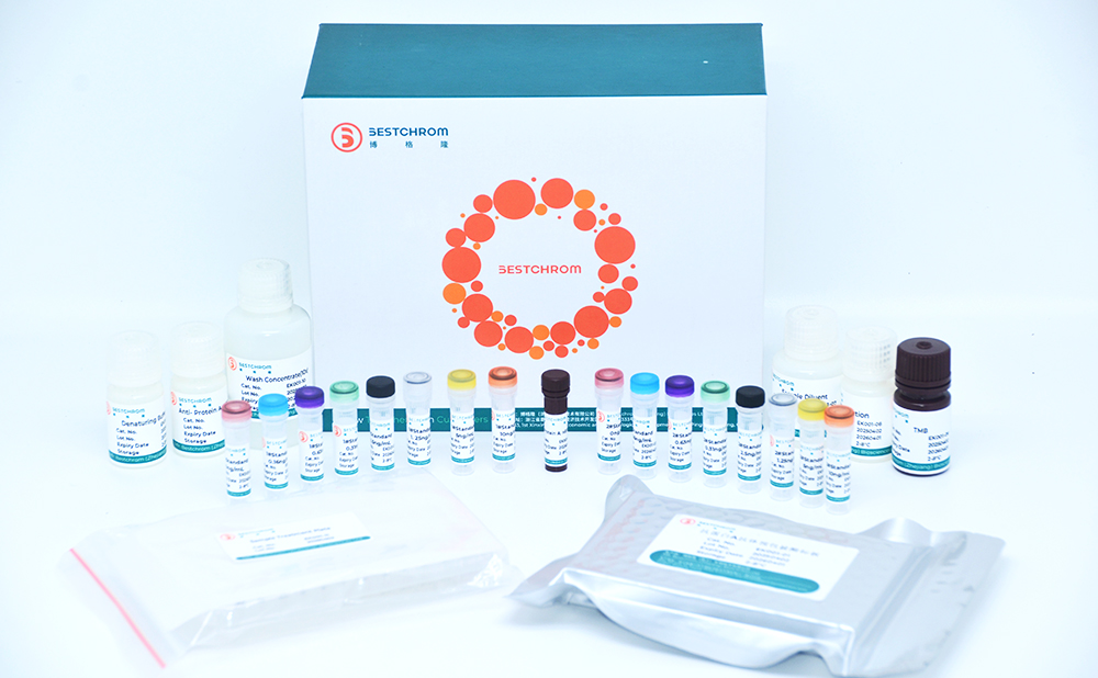 Protein A ELISA Kit