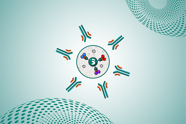 抗体亲和填料选型时，载量真的越高越好吗？