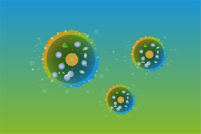 外泌体纯化：从实验室分离到产业化工艺