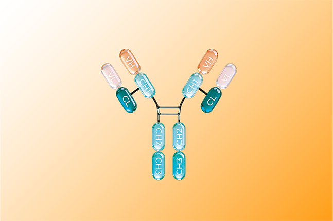 从滴度跨越到工艺强化：为何柱层析依然是抗体纯化的压舱石？