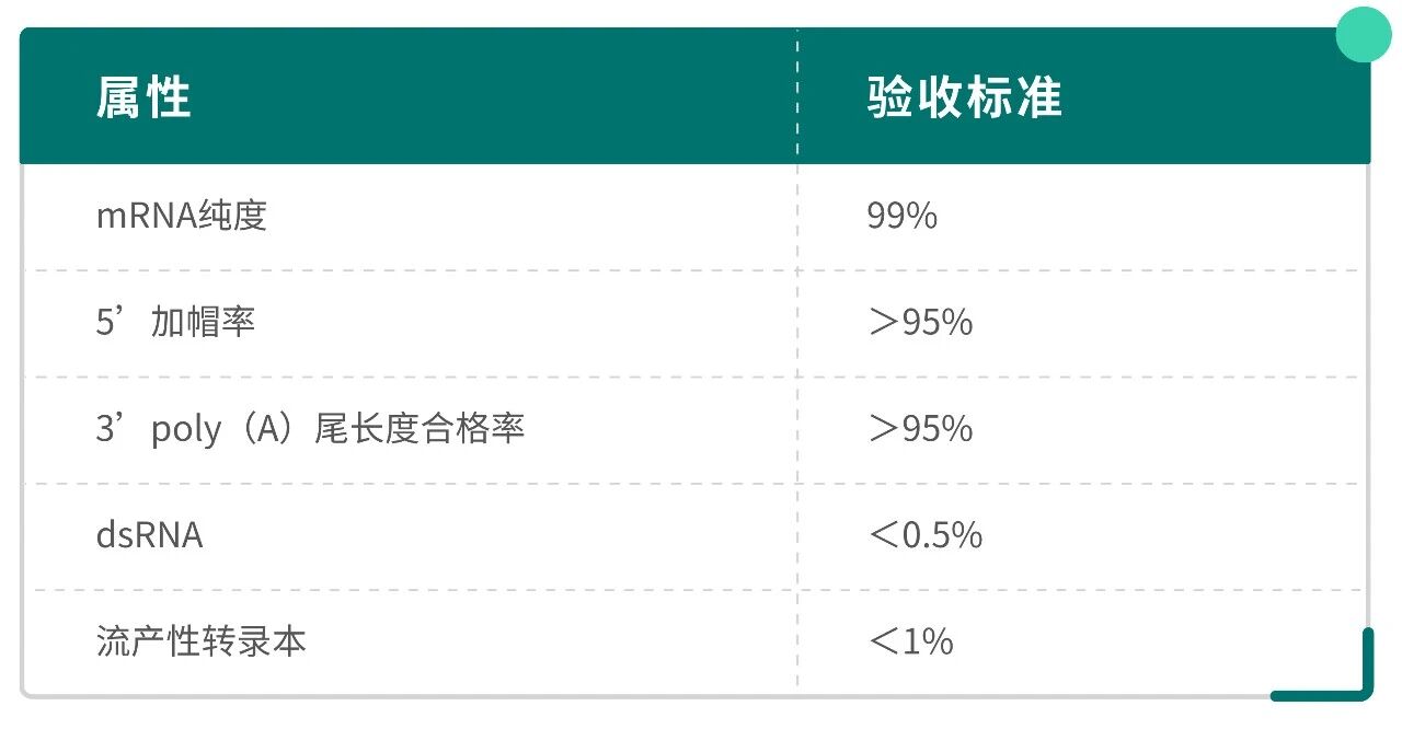 mRNA下游纯化“三步曲”：从粗制混合物到精准疗法利器