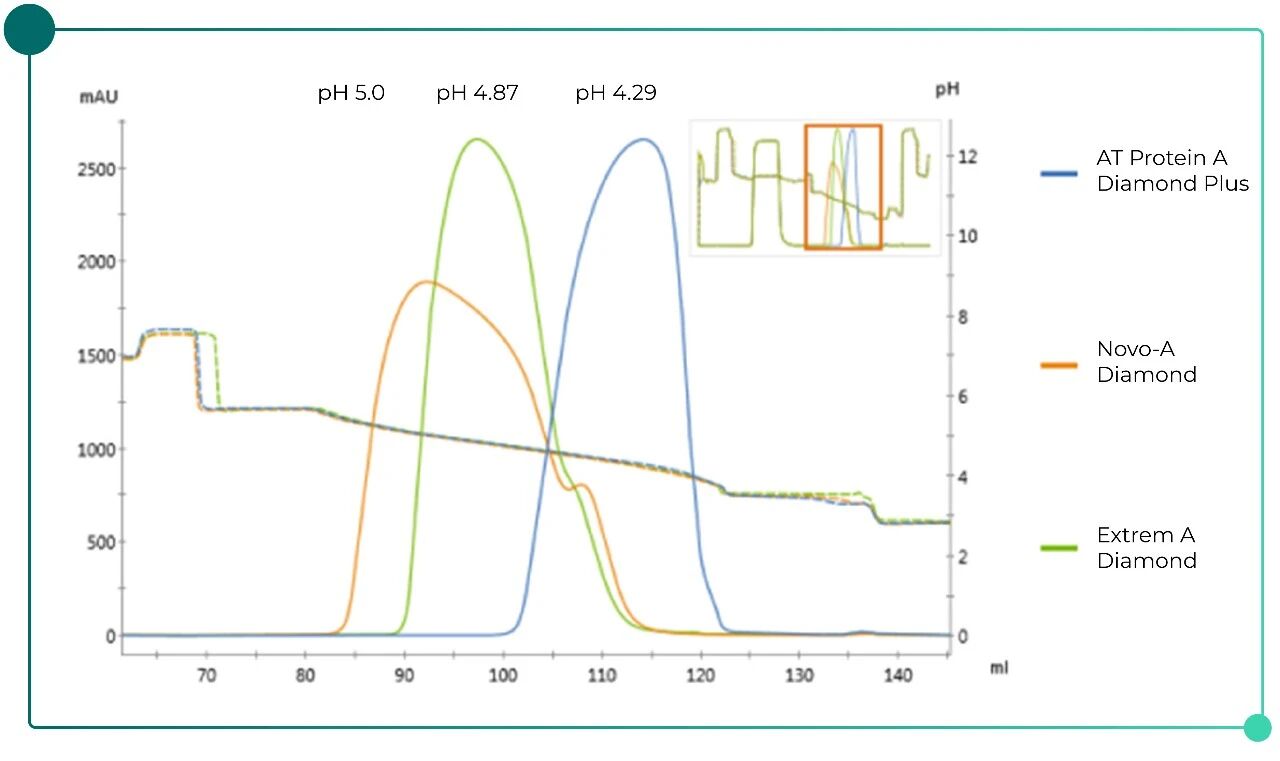 Beyond Conventional Protein A-pic-02