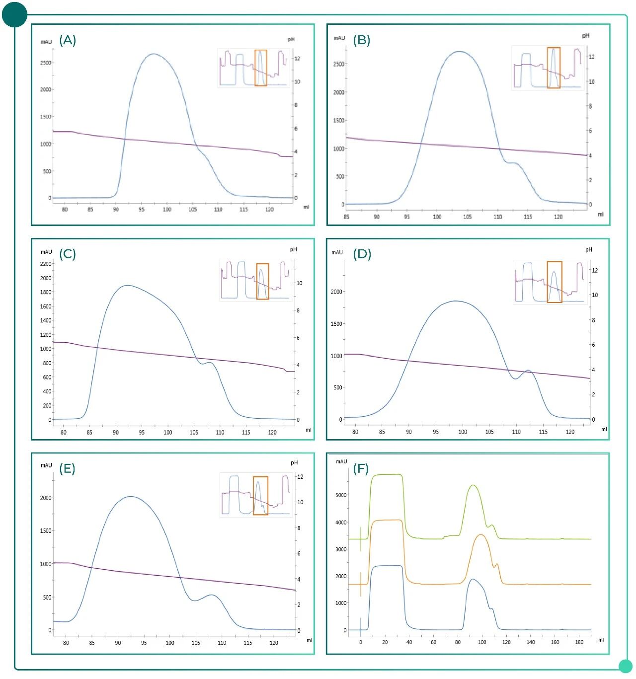 Beyond Conventional Protein A-pic-05